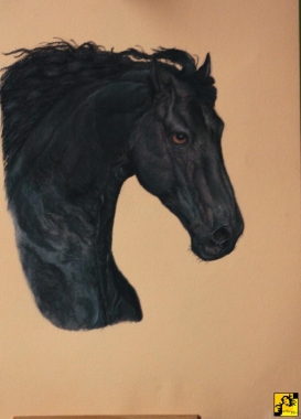 Koń Fryzyjski II