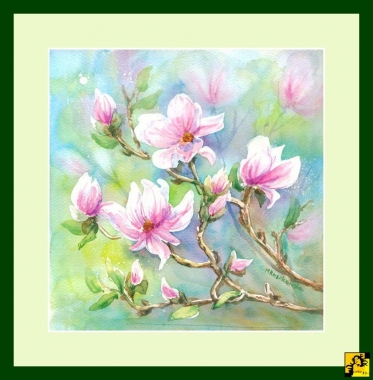 Różowa magnolia