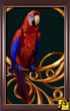 Papuga i ornament
