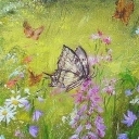 Łąka z motylami