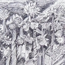 Dziki ogród -  czarno biały rysunek