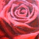 Rose I