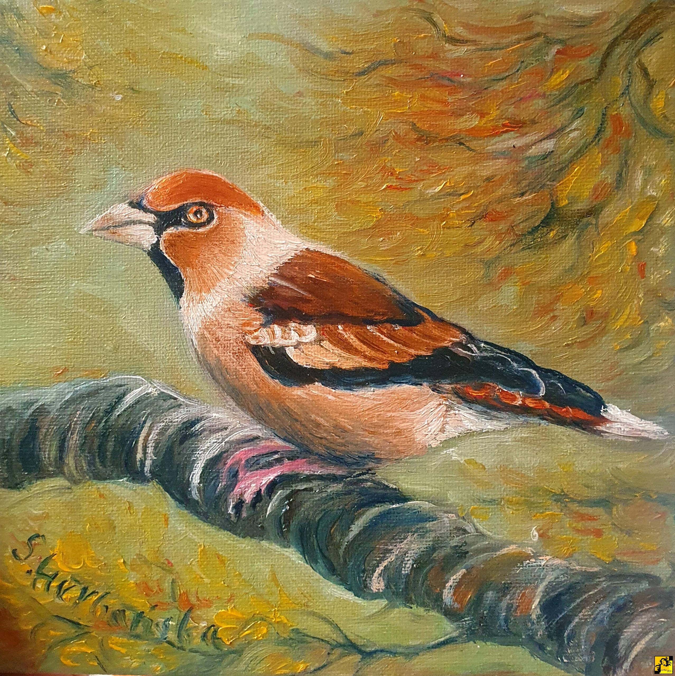 Sylwiana Herbańska: 