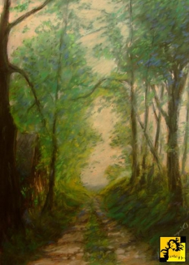 Droga przy lesie