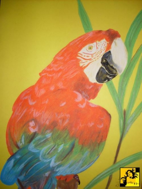 Papuga