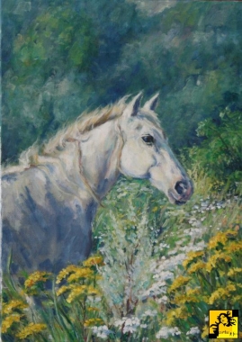 Biały koń na kwitnącej łące