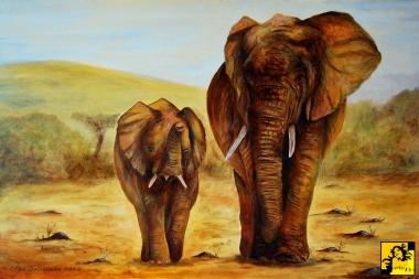 Slonie afrykańskie