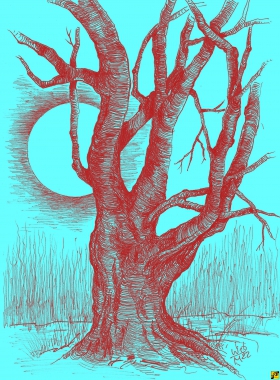 Drzewo