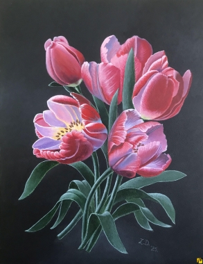 Tulipany