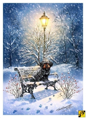 Przytul i weź na ręce