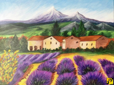 Provence lavender fields 