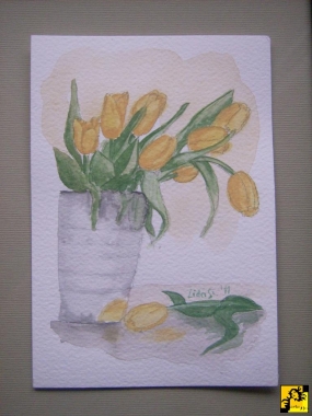 tulipany żółte