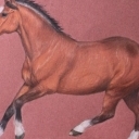 Koń wielkopolski