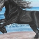 Koń na plaży