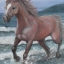 koń w wodzie