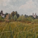 panorama Włodawy z trawa