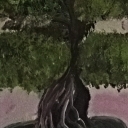Drzewko  Bonzaj