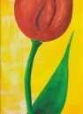 Popołudniowy Czerwony Tulip