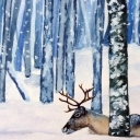 Deer in Winter