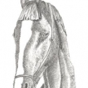 Głowa konia