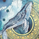 Wieloryb w mandali