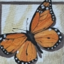 Motyl 1