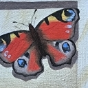 Motyl 2