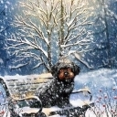 Przytul i weź na ręce