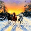 Wolne rumaki, niebiański wiatr Wolne rumaki, niebiański wiatr