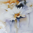 Zakwitły na wigilię.