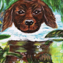 Life in Nikita’s view 